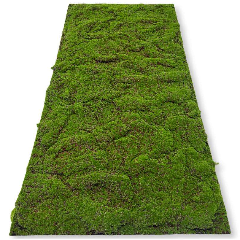 Les collines - fines et rouges