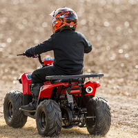 Hizao — moteur à chaîne Quad ATV 110cc, dirt hawk 110 avec aepa