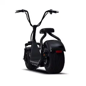 Pneumatico grasso Design classico 8 pollici Citycoco 1000W 60V12A Scooter elettrico prezzo economico spedizione gratuita in europa