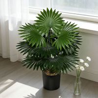 Arbres artificiels Monstera Bonsai personnalisés pour la décoration intérieure et extérieure avec des plantes artificielles en plastique vert palmier et des oliviers artificiels