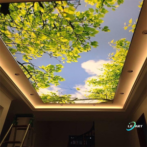 Thương hiệu mới thả trần phòng ngủ plafond placo thiết kế căng Trần cây cọ Phong cách chi phí - Product Image 3