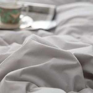 2025 Phổ Biến Thoải Mái Bông Ấm Mền Mô Hình Puffy Giường Duvet Quilted Comforter - Product Image 4