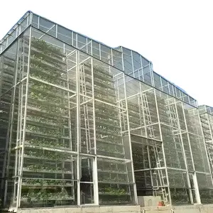 一温室农业水培NFT系统螃蟹垂直养殖蔬菜种植