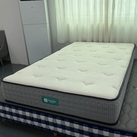 Kasur Elektrik Modern Mewah yang Dapat Disesuaikan dengan Fitur Pemanas & Tahan Lama, Kontrol Cerdas untuk Kamar Tidur Hotel, Sekolah, Rumah Sakit