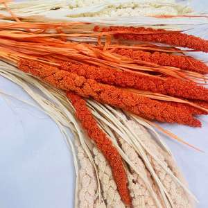 Approvisionnement d'usine fleurs décoration <span class=keywords><strong>millet</strong></span> Nature <span class=keywords><strong>Millet</strong></span> Fleur Herbe Graines Coloré Plante Naturelle <span class=keywords><strong>Millet</strong></span> Séché - Product Image 4