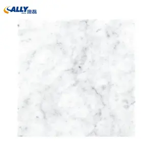 Allystone Carrara White Marble Tile Supplier 600*600 mm Marble Look Porcelain Tile Marble Flooring