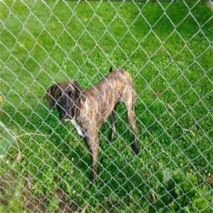 Хит продаж, 6 футов 8 футов - Product Image 2