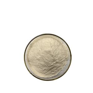 Proteína de soja 60% Suplemento alimenticio Proteína de soja hidrolizada Concentrado en polvo Proteína de soja concentrada - Product Image 4