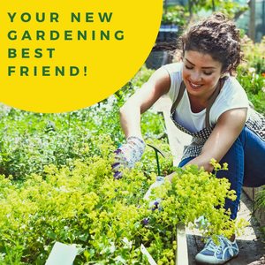 Làm vườn dụng cụ cầm tay hiệu quả <span class=keywords><strong>Weed</strong></span> <span class=keywords><strong>Killer</strong></span> có thể để kéo ra rễ một cách dễ dàng - Product Image 6