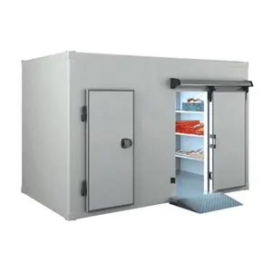 Özelleştirilmiş sebze meyve gıda ve içecek soğuk oda depolama buzdolabı dondurucu güneş konteyner dondurucu odası sağlanan 60