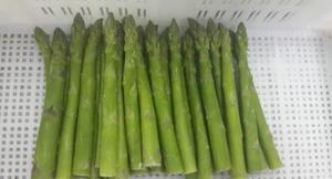 Venta Directa al por Mayor <span class=keywords><strong>de</strong></span> <span class=keywords><strong>Brotes</strong></span> <span class=keywords><strong>de</strong></span> Bambú Congelados, <span class=keywords><strong>Brotes</strong></span> <span class=keywords><strong>de</strong></span> Bambú <span class=keywords><strong>de</strong></span> Primavera/Verano, Tiernos y Crujientes, <span class=keywords><strong>de</strong></span> Alta Calidad para Mercados Globales - Product Image 5
