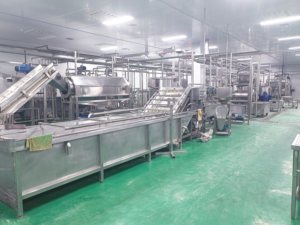 <span class=keywords><strong>เครื่อง</strong></span>คั้นน้ำผลไม้<span class=keywords><strong>สด</strong></span>อัตโนมัติประสิทธิภาพสูงสำหรับน้ำส้มและมะม่วงแบบสกัดเย็น - Product Image 5