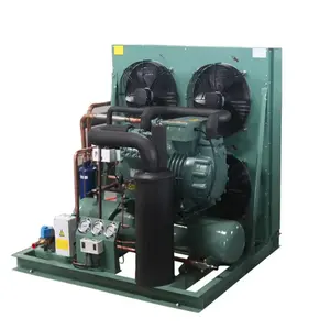 Unidad de condensación de refrigeración de compresor de congelador de cámara fría de alta calidad con gran promoción