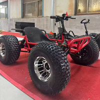 Kart Électrique Premium à Batterie Lithium 1000W 48V 20A pour Courses sur Piste de Jardin et Aventures en Plein Air – Conduite Rapide et Écologique