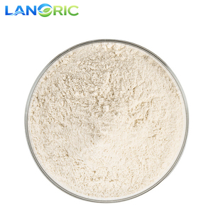 Bột <span class=keywords><strong>protein</strong></span> chiết xuất từ gạo lứt nảy mầm hữu cơ thủy phân, cấp thực phẩm, hàm lượng 80% - Product Image 2