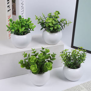 Plante succulente artificielle miniature 5,5x10cm, <span class=keywords><strong>pot</strong></span> en plastique blanc, décoration murale, de bureau, intérieure, extérieure, pour la maison, fête, Planta Artificial - Product Image 3