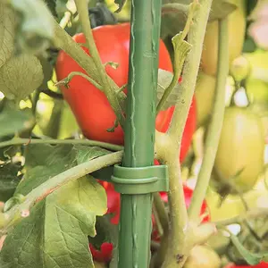 Schlussverkauf 1,8 m Gartenstecke Kunststoff beschichtete Pflanzenstöcke für Kletterpflanzen