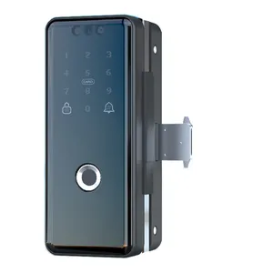 3D замок для камеры распознавания лиц для коммерческого стекла алюминиевый ключ для Витрины Магазина биометрический умный дверной замок