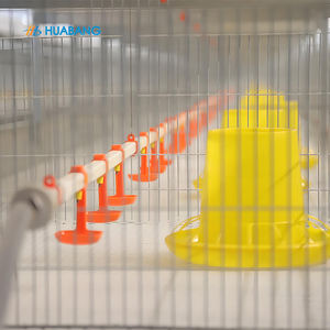 Attrezzatura per allevamento di pollame tipo H sistema automatico gabbia di pollo - Product Image 4