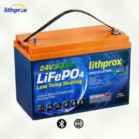 Batterie Lithprox LiFePO4 à décharge profonde 24V 300AH pour voiturette de golf avec BMS intelligent Bluetooth, borne M8, 6000+ cycles, CE RoHS IP67, OEM ODM