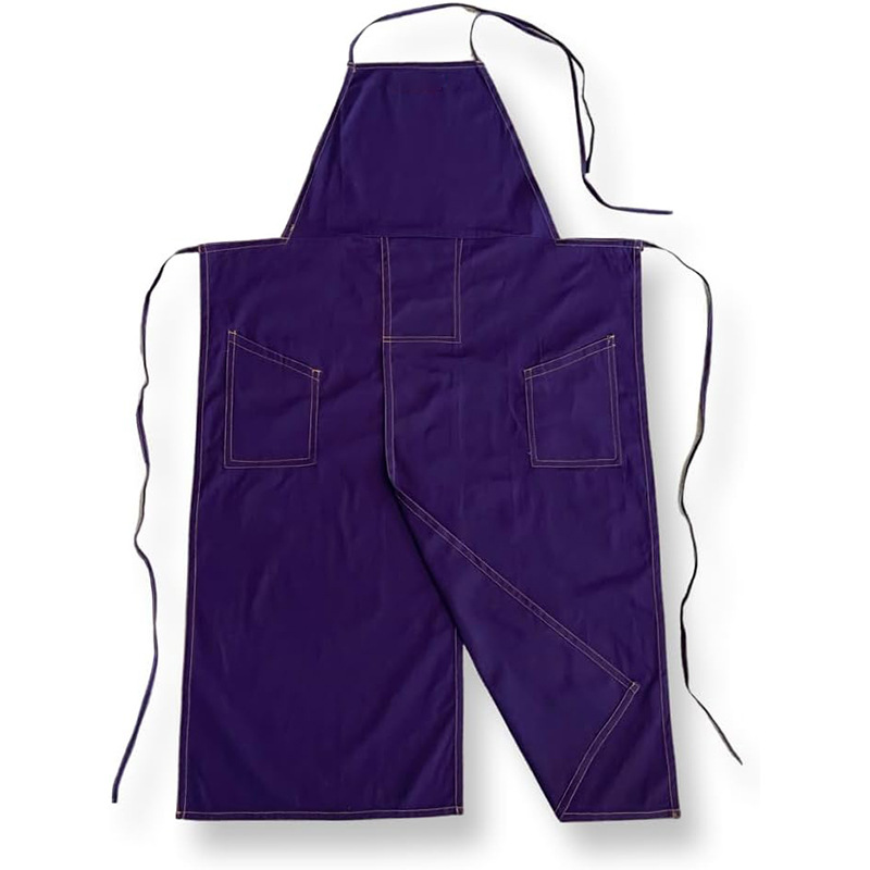 Viola