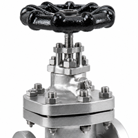 Vanne à opercule à bride en acier inoxydable LUOKEFM Z41H CF8 Classe 150 avec joint PTFE vierge - Plage de température industrielle de -29 à 425 °C