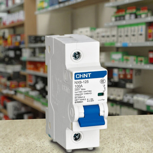 เบรกเกอร์ขนาดเล็ก ChintMCB รุ่น NXB-125 (2P 80A 100A) C80 C100 MCB ทองแดง 10kA สำหรับวงจรกระแสสูง - Product Image 3