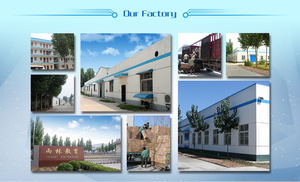 Биологии анатомии человека модель глаза с орбиты глаз структурная модель медицинская наука Обучающие игрушки модели учебные принадлежности YL-316B - Product Image 6