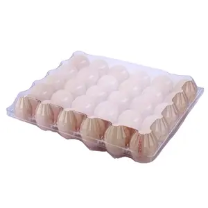 صندوق على شكل علبة لحمل بيض السمان من مصنع في الصين