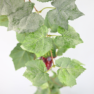 Enredadera Artificial de Uvas de 170 cm con Hojas para Decoración del Hogar, Jardín, Bodas, Planta Colgante, <span class=keywords><strong>Guirnalda</strong></span> de Follaje Artificial - Product Image 3
