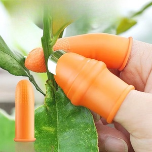 Couteau à pouce en plastique pour cueillir les légumes Clou en fer coudé pour cueillir les poivrons et les haricots Outil agricole magique Coupe-pouce - Product Image 1
