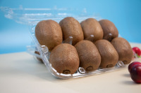 Conteneurs en plastique PET pour kiwis, emballage en blister pour fruits, conteneurs à clapet, conteneurs à kiwis, vente la plus importante en 2022, 3/4/6/8