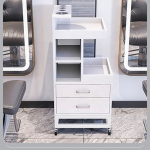 NEW Modern Salon Working <b>Trolley</b> Beauty Storage Cart <b>Trolley</b> for Heavy Duty Salon Equipment - Product Image 4