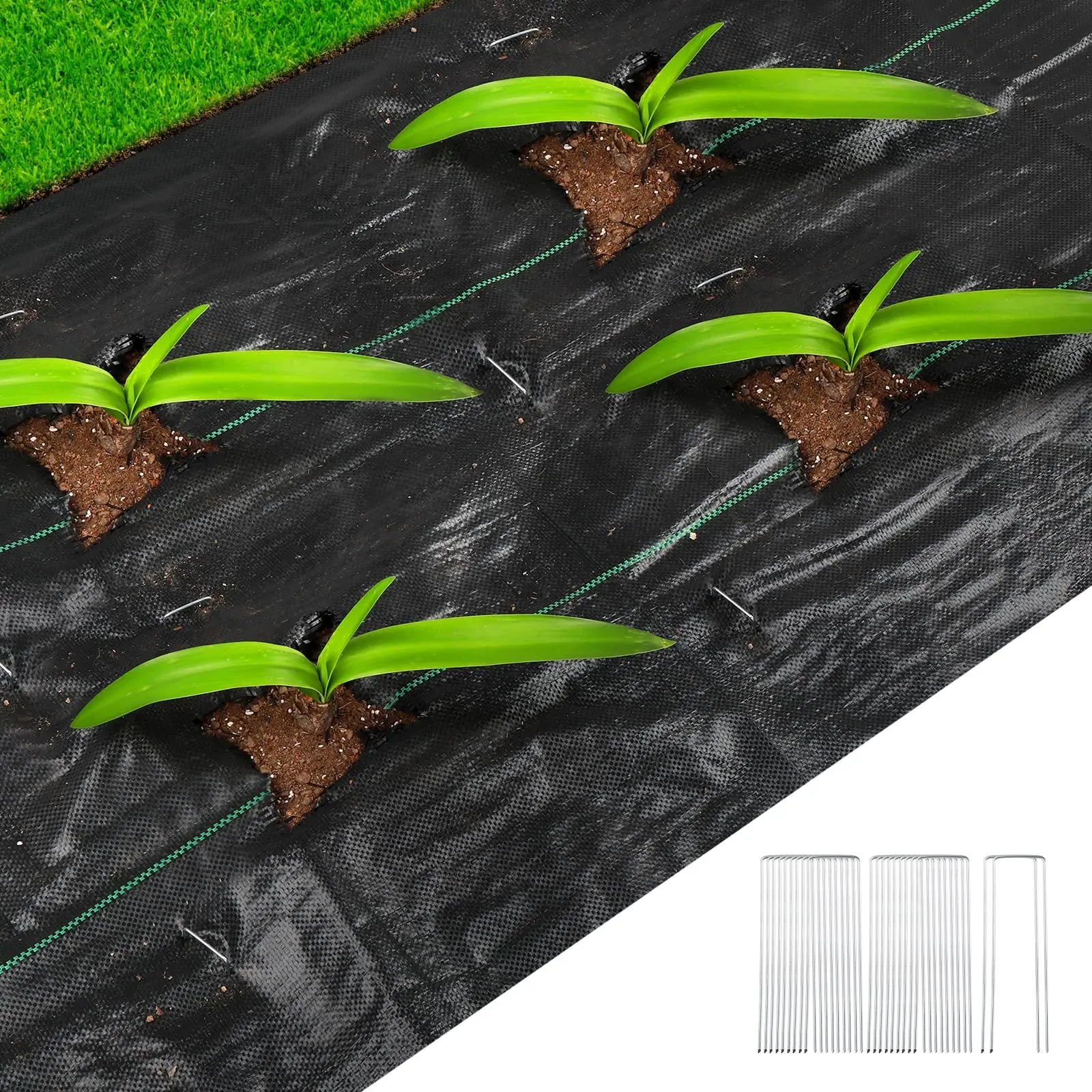 Ground Cover Control Greenhouse Weeding Seed Sheet Antigrass Barrier Black Plastic Mulch Fabric Agriculture Natural Pp Weed Mat