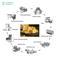 Línea de Producción Industrial Automática de Papas Fritas con Más de 30 Años de Experiencia Profesional
