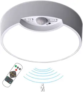 Battery Operated Dimbare Timer Indoor Closet Kabinet Trappen Kelder Verlichting Led Motion Sensor Plafond Verlichting Met Afstandsbediening