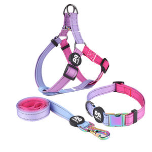 2025 INS populaire produits pour animaux de compagnie formation collares laisse copain ceinture chien harnais collier ensemble, nylon sangle chien harnais 3 pièces ensemble - Product Image 6