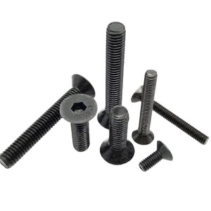 Tornillos autorroscantes de cabeza cruzada para madera, personalizados, de acero inoxidable 304 316, M2 M3 M4 M5 M6 M8 M10 A4 DIN7981 - Product Image 5