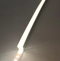 Détails complets sur la lumière LED personnalisée enseigne au néon étanche Tube en silicone LED néon Flex éclairage LED Flex bande de néon