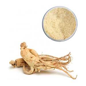 10:1 20:1, американский экстракт женьшеня, порошок, американский гинсенозиды, 80%, американский экстракт женьшеня - Product Image 1