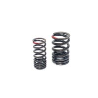 Ressort de soupape haute performance personnalisé pour voiture, moto, mise à niveau et modification de moteur de course, ressort double de précision automatique