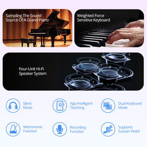 Teclado <span class=keywords><strong>de</strong></span> <span class=keywords><strong>Piano</strong></span> Plegable TERENCE V20 <span class=keywords><strong>de</strong></span> 88 Teclas, Diseño que Ahorra Espacio para Estudio en Casa, Principiantes, Servicio OEM/ODM Disponible - Product Image 2