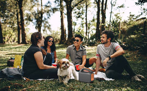 Système de batterie solaire Portable 150W, 220V, hors réseau, fournitures de secours en extérieur, générateur - Product Image 6