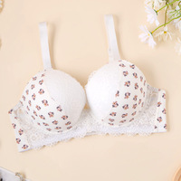 Soutien-gorge push-up à armatures en dentelle florale, style européen/américain, grande taille, pour poitrines généreuses, bretelles réglables, fermeture à trois rangées de boucles