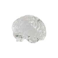 Ornement à la fois complexe et éducatif, le modèle de cerveau en cristal 3D est parfait pour les neuroscientifiques et les passionnés.
