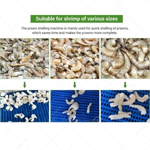 -Cối quá trình điện dehead Shell và <span class=keywords><strong>devein</strong></span> tự động tôm Peeler sạch tôm <span class=keywords><strong>Peel</strong></span> máy để bán - Product Image 6