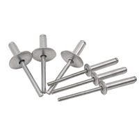 Fixation décorative de sortie d'usine Rivet aveugle en aluminium à grande bride Rivets pop à extrémité ouverte auto-enfichables Noyau en acier plastique