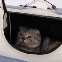 Sac à dos de transport pour animaux de compagnie, nouveau style, luxe, en maille, grand, transparent, respirant, imperméable, pour chats et chiens, pour l'extérieur
