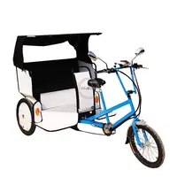 Tricycle électrique de randonnée pour adultes, bicyclette à trois roues, idéale pour mariage, 2022
