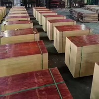 Coffrage en contreplaqué d'eucalyptus filmé réutilisable, qualité supérieure, durable, imperméable, écologique, moderne E1